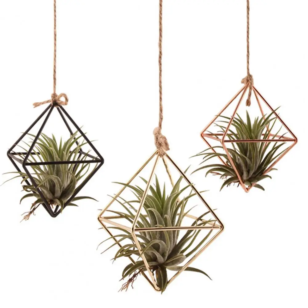 kf-S03db0d0049314e9e9e9d8445c7be6aa0b-Tabletop-Air-Plant-Stand-Geometric-Glass-Terrarium-Propagation-Station-with-Iron-Stand-for-Home-Office-Decor